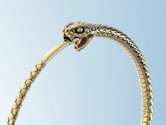 Snake Ouroboros Earrings. Snake Earrings. Snake hoops Animal Lover Gift Serpent Earrings - Snake Earrings -  Animal Earrings - Gift for Her
